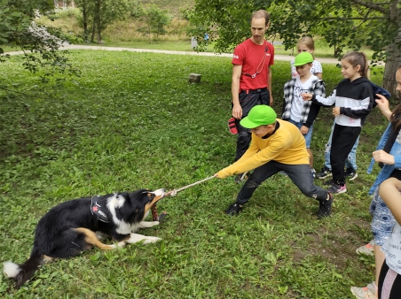 Dobrodružství u Rokytky s piknikem