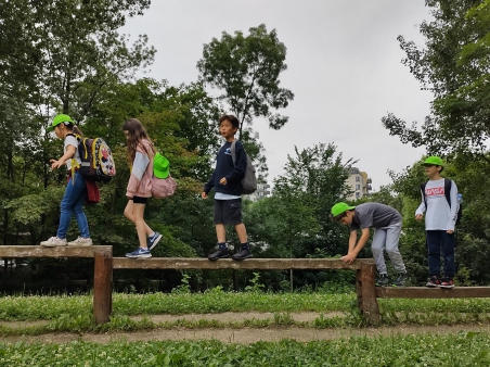 Dobrodružství u Rokytky s piknikem