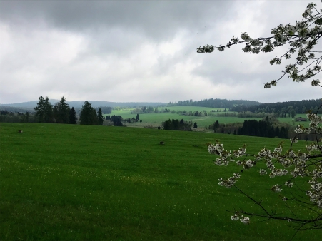 Škola v přírodě - Šumava - 3.A