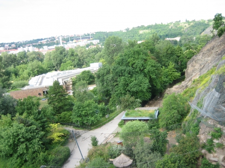 Projektový týden - Pavilony pražské ZOO