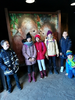 4.A ZOO březen