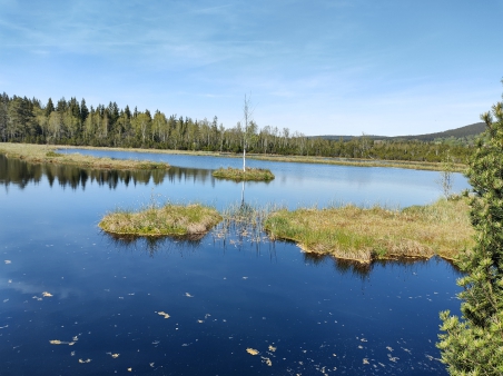 Škola v přírodě - Šumava - 3.A