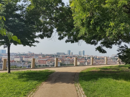 Dendrologická vycházka s piknikem