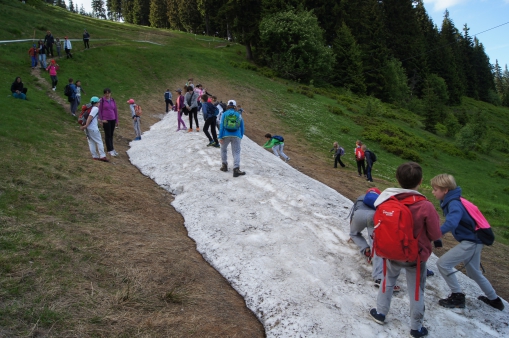 Škola v přírodě - Krkonoše - 3.A a 3.C