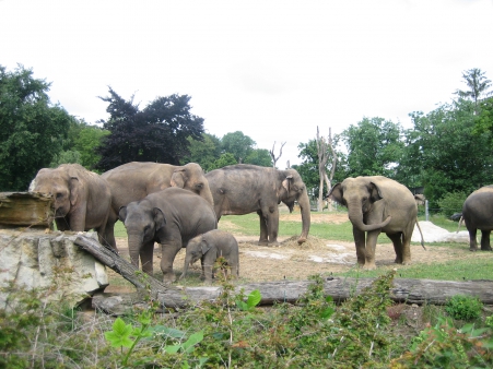 Projektový týden - Pavilony pražské ZOO