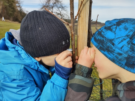 Škola v přírodě Čestice