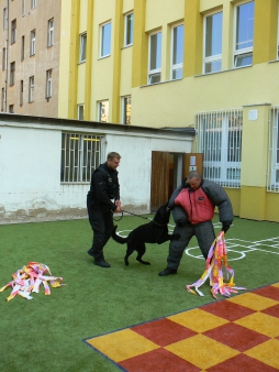 Teorie a praxe v práci se služebními psy