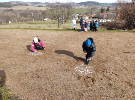 Škola v přírodě Čestice