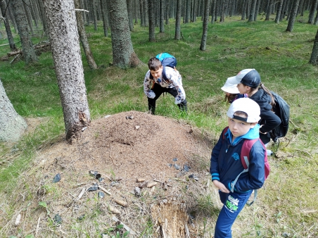 Škola v přírodě - Šumava - 3.A