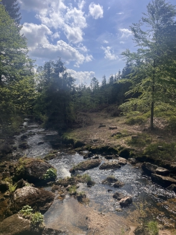 ŠvP - Jizerské hory, Lučany n. N. chata Agatha