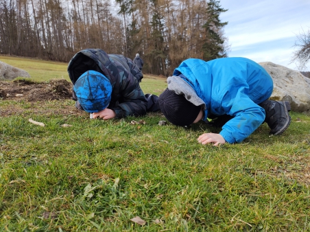 Škola v přírodě Čestice