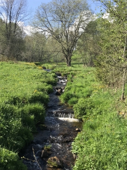 Škola v přírodě - Šumava - 3.A