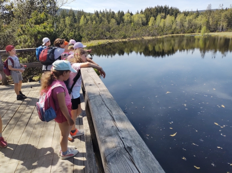 Škola v přírodě - Šumava - 3.A