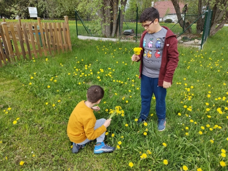 Škola v přírodě