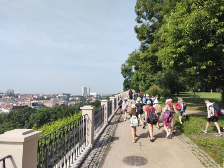 Dendrologická vycházka s piknikem