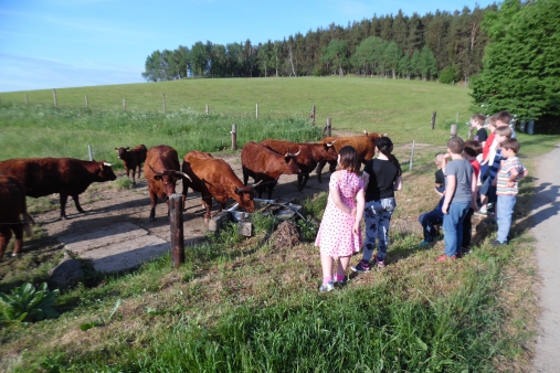 Škola v přírodě - Zadov - Šumava