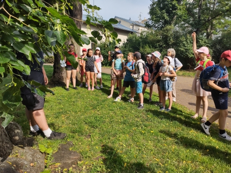 Dendrologická vycházka s piknikem