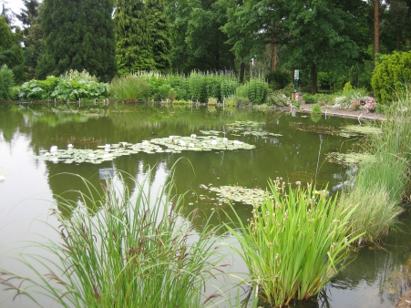 Botanická zahrada v rámci projektového týdne