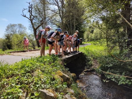 Škola v přírodě - Šumava - 3.A