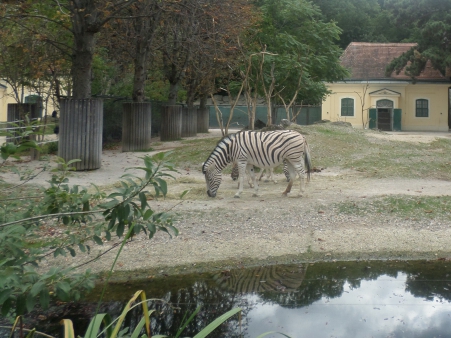 Výlet do Vídně