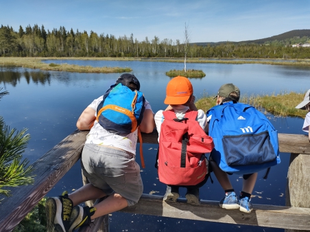 Škola v přírodě - Šumava - 3.A