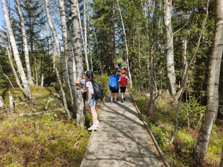 Škola v přírodě - Šumava - 3.A