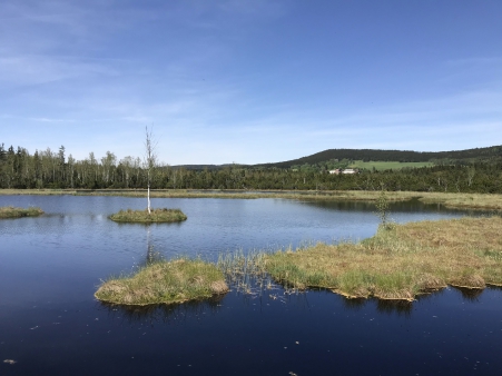 Škola v přírodě - Šumava - 3.A