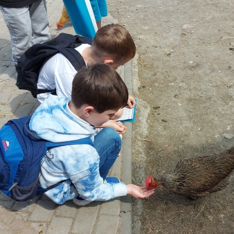 Vyšehrad a Toulcův dvůr 1.A a 1.C