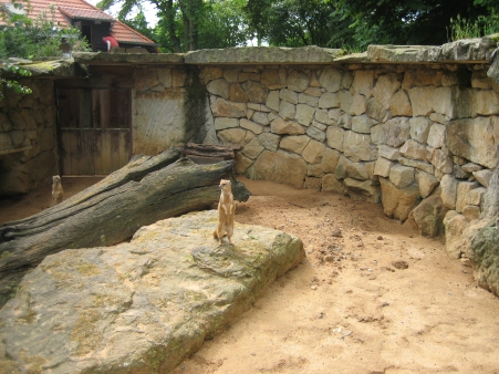 Projektový týden - Pavilony pražské ZOO