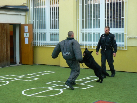 Teorie a praxe v práci se služebními psy