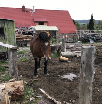 Škola v přírodě - Šumava - 3.A