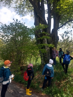 Škola v přírodě - Šumava - 3.A