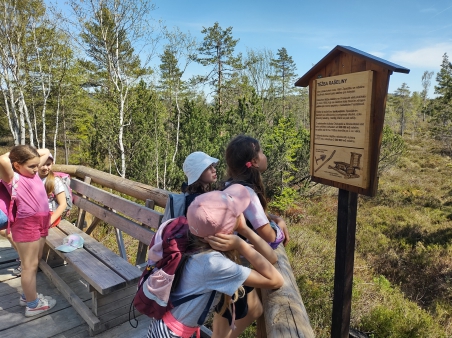 Škola v přírodě - Šumava - 3.A