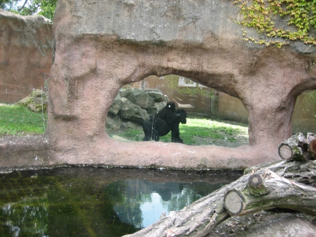 Projektový týden - Pavilony pražské ZOO