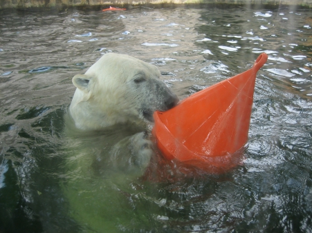 Projektový týden - Pavilony pražské ZOO